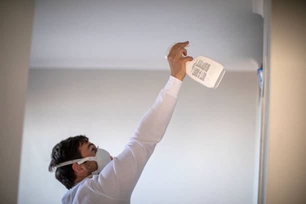 Best Mold Testing  in Borrego Springs, CA